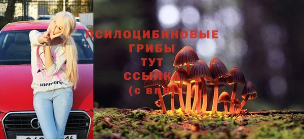 прущий лед Богородск