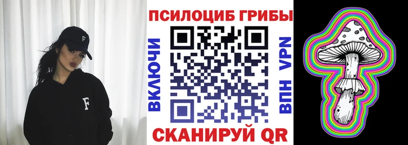 где купить наркоту Шенкурск дарк нет состав Галлюциногенные грибы ЛСД