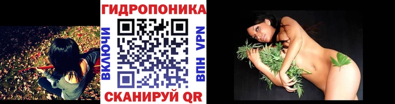 Канабис конопля  Шенкурск 